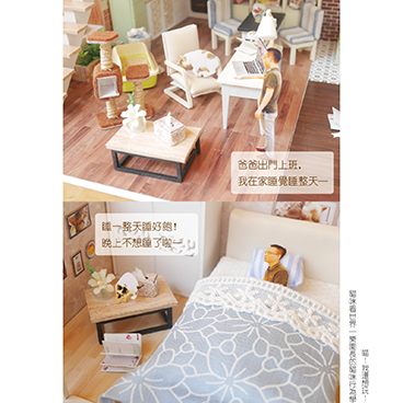 貓咪是需要大量消耗精力的動物