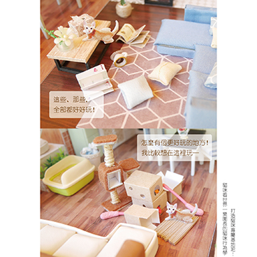 對貓咪而言沒有差異的行為