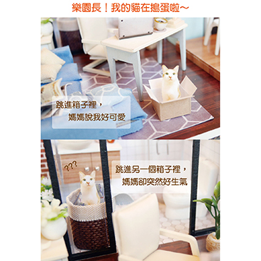 對貓咪而言沒有差異的行為