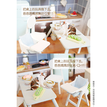 對貓咪而言沒有差異的行為