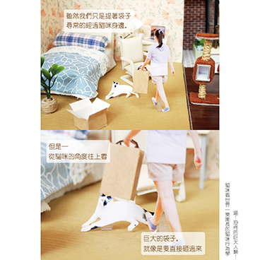 貓咪視角中的巨大