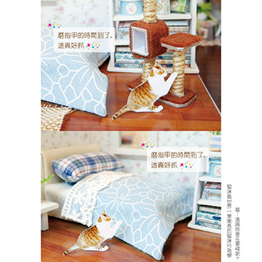 對貓咪而言沒有差異的行為