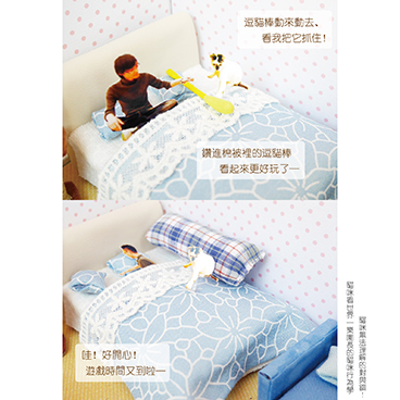 對貓咪而言沒有差異的行為