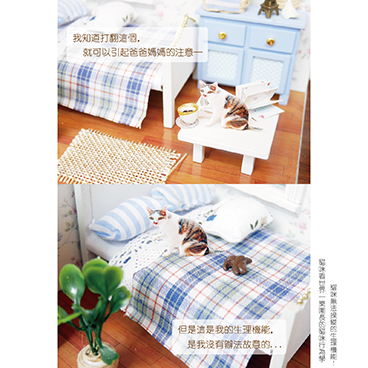 貓咪無法自主控制的生理行為