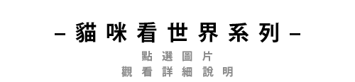 貓咪看世界